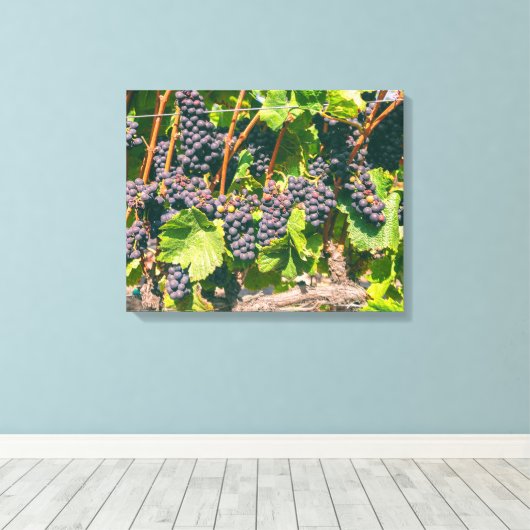 Druiven Canvas Afdruk (Insitu (Houten vloer))