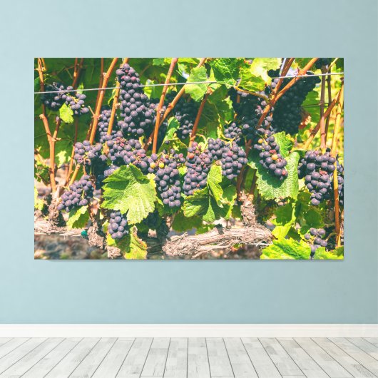 Druiven Canvas Afdruk (Insitu (Houten vloer))