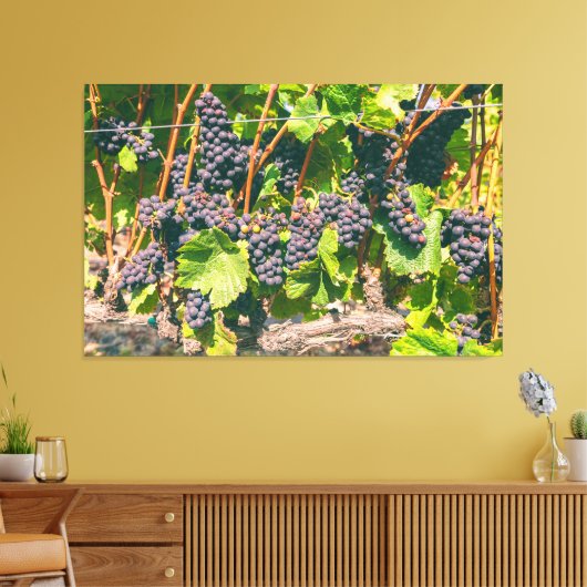 Druiven Canvas Afdruk (Insitu (Woonkamer))