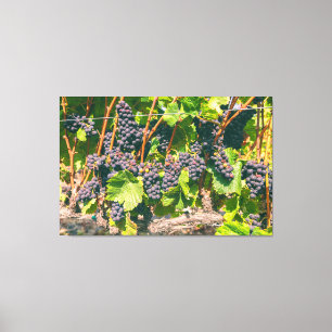 Druiven Canvas Afdruk