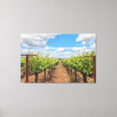 Druiven Canvas Afdruk (Voorkant)