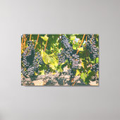 Druiven Canvas Afdruk (Voorkant)