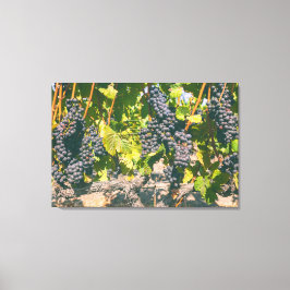Druiven Canvas Afdruk