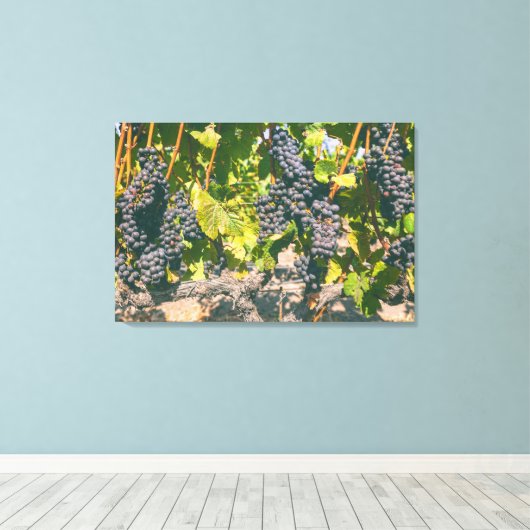 Druiven Canvas Afdruk (Insitu (Houten vloer))
