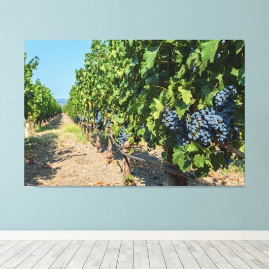 Druiven Canvas Afdruk (Insitu (Houten vloer))