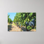 Druiven Canvas Afdruk (Voorkant)