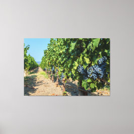 Druiven Canvas Afdruk