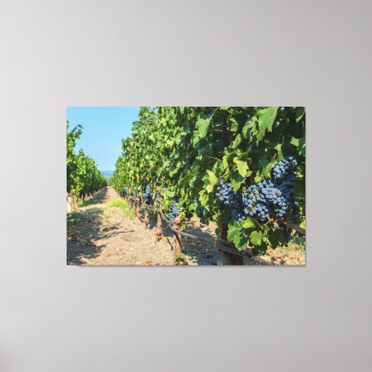 Druiven Canvas Afdruk (Voorkant)