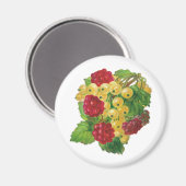 Druiven en bessen Magnet (Voorkant / Achterkant)