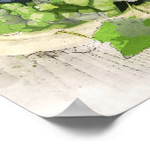 druiven en poster van wijn (Hoek)