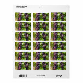 druiven etiket (Full Sheet)