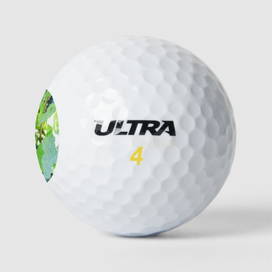 druiven golfballen (Logo)