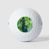 druiven golfballen (Voorkant)