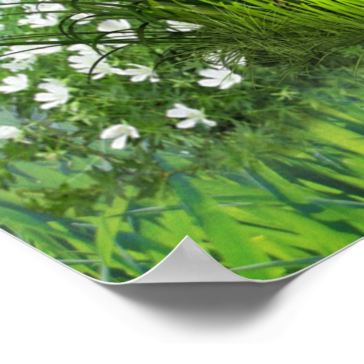 Druiven, Honeysuckles & Hummingbird Poster (Hoek)