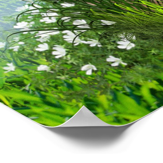 Druiven, Honeysuckles & Hummingbird Poster (Hoek)