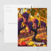 Druiven in Bourgogne Frankrijk Reizen Briefkaart (Voorkant / Achterkant)
