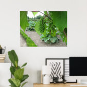 Druiven in het Paleis van Versailles Poster (Thuiskantoor)
