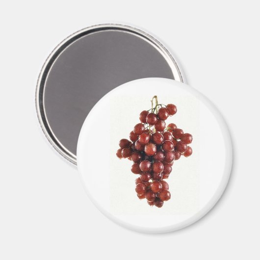 DRUIVEN MAGNEET (Voorkant / Achterkant)