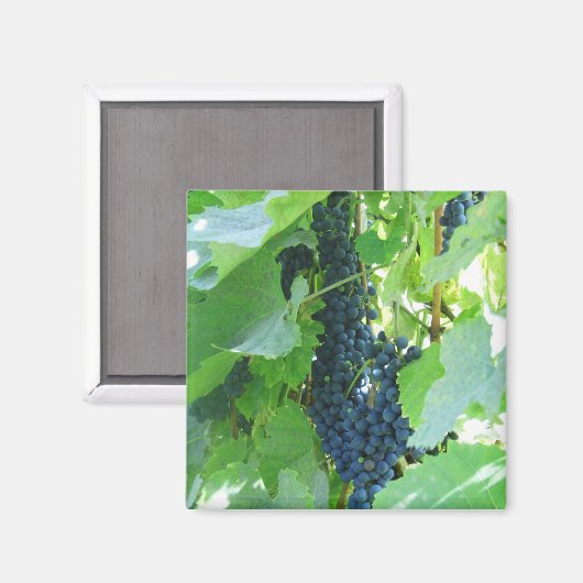 Druiven Magneet (Voorkant / Achterkant)