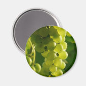 druiven magneet (Voorkant / Achterkant)