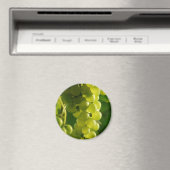 druiven magneet (Insitu (Vaatwasser))