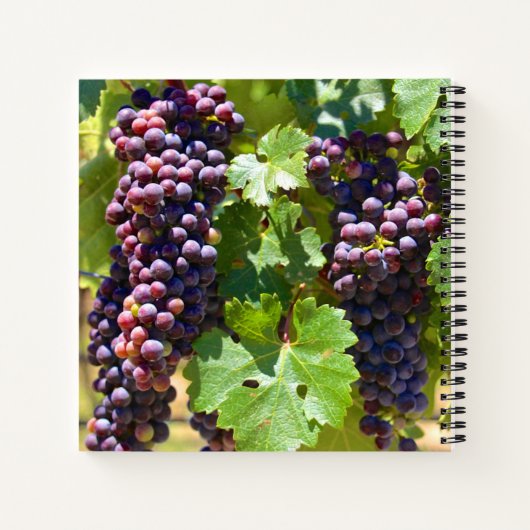druiven notitieboek (Achterkant)