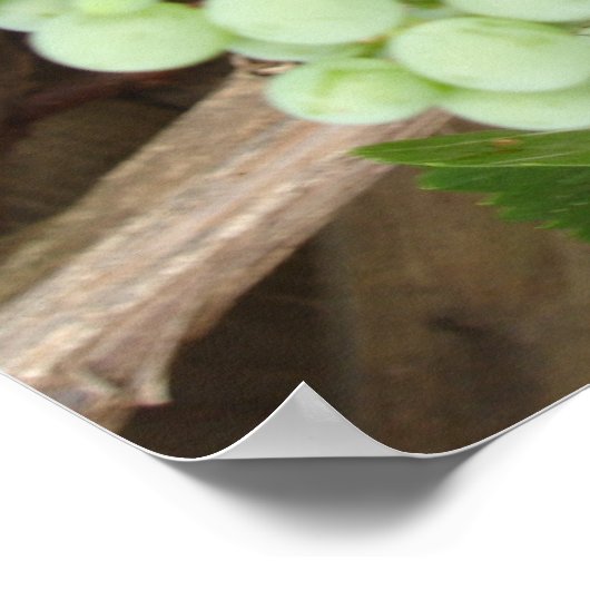 Druiven op de wijn poster (Hoek)