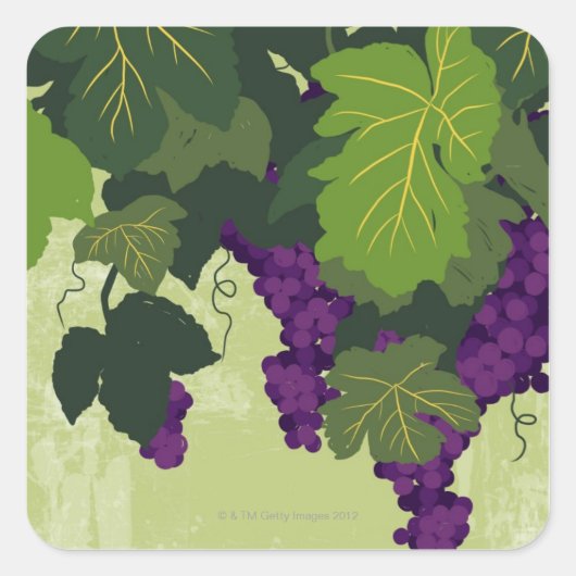 Druiven op de wijn vierkante sticker (Voorkant)