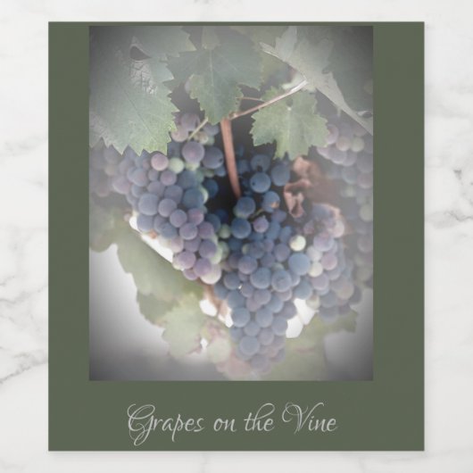 Druiven op de wijn wijn etiket (Enkel label)