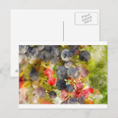 Druiven op de wijnstok klaar om wijn te maken briefkaart (Voorkant / Achterkant)