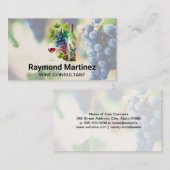 Druiven op de wijnstok | wijngaardfles visitekaartje (Voorkant / Achterkant)