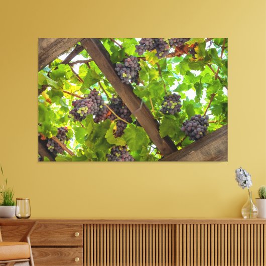 Druiven op de wijnstokken canvas afdruk (Insitu (Woonkamer))