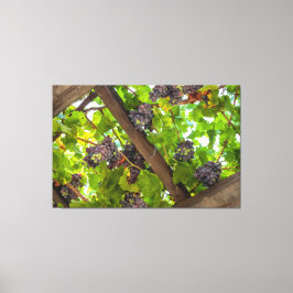 Druiven op de wijnstokken canvas afdruk