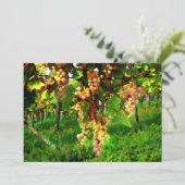 Druiven op de wijnstokken kaart (Staand voorkant)