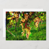 Druiven op de wijnstokken kaart (Voorkant / Achterkant)