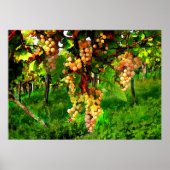 Druiven op de wijnstokken poster (Voorkant)