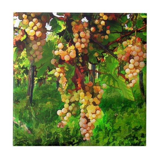 Druiven op de wijnstokken tegeltje (Voorkant)