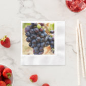 druiven op een wijnstok servet (Insitu)