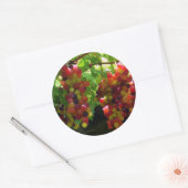 Druiven op een wijnstok Sticker (Envelop)