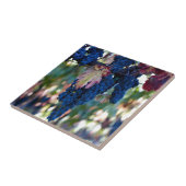 Druiven op wijn tegeltje (Zijkant)