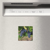 Druiven op wijnmagneten magneet (Insitu (Vaatwasser))