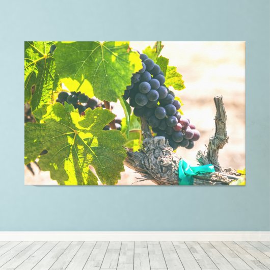 Druiven op wijnstok canvas afdruk (Insitu (Houten vloer))