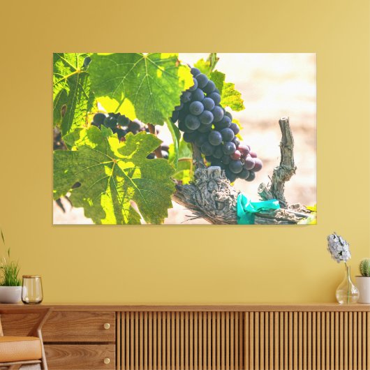 Druiven op wijnstok canvas afdruk (Insitu (Woonkamer))