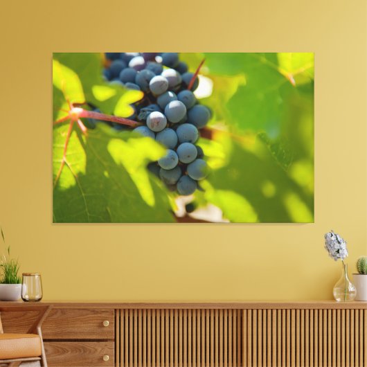 Druiven op wijnstok canvas afdruk (Insitu (Woonkamer))