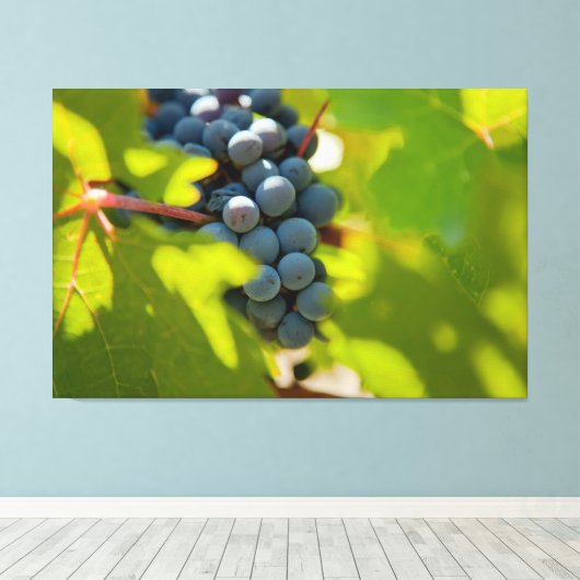 Druiven op wijnstok canvas afdruk (Insitu (Houten vloer))