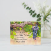 Druiven op wijnstokken De datum Kaart opslaan (Staand voorkant)