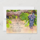 Druiven op wijnstokken De datum Kaart opslaan (Voorkant)