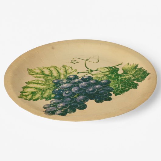 Druiven Papieren Bordje (Gekanteld)