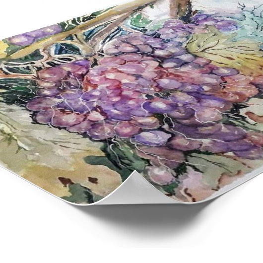 druiven poster (Hoek)