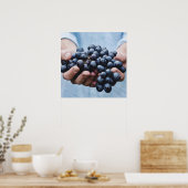 Druiven / poster voor voedingskeuken (Keuken)